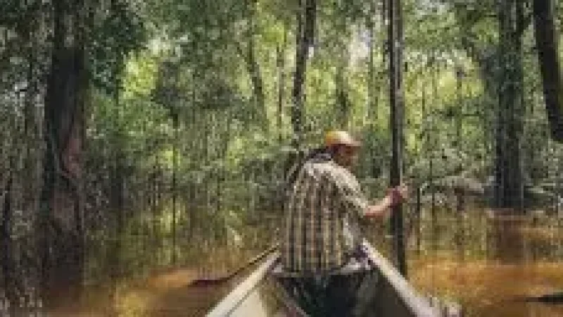 01 Amazon Rainforest Trails ‒ Dense jungle walks(2)