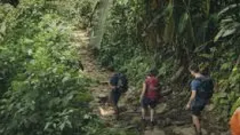 01 Amazon Rainforest Trails ‒ Dense jungle walks(6)
