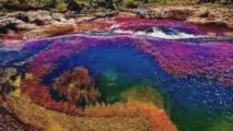01 Caño Cristales River – Famous colorful river sections(1)