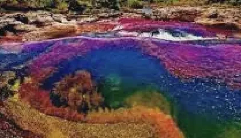 01 Caño Cristales River – Famous colorful river sections(1)