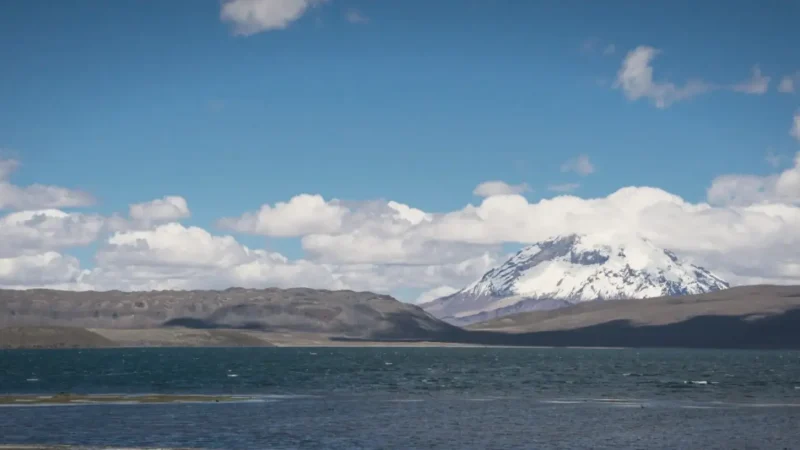 01) Chungará Lake Shore(4)