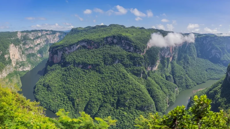 01) Grijalva River Boat Route(5)