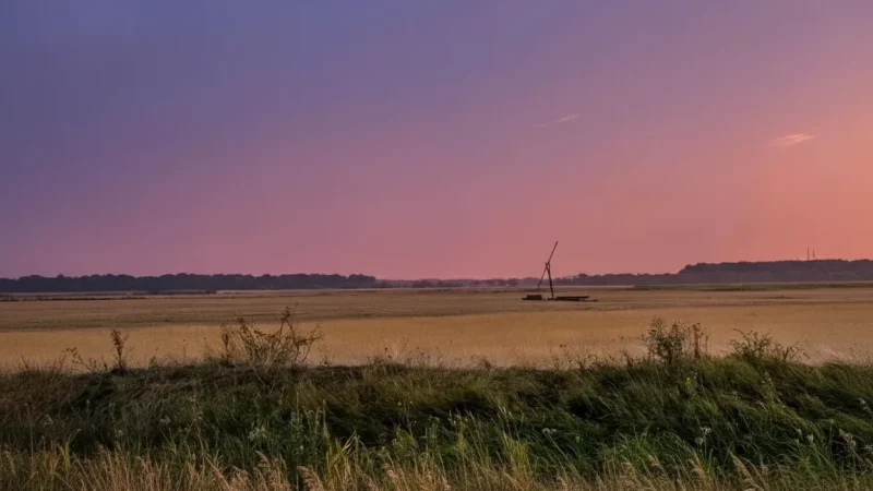 01) Hortobágy Steppe(2)