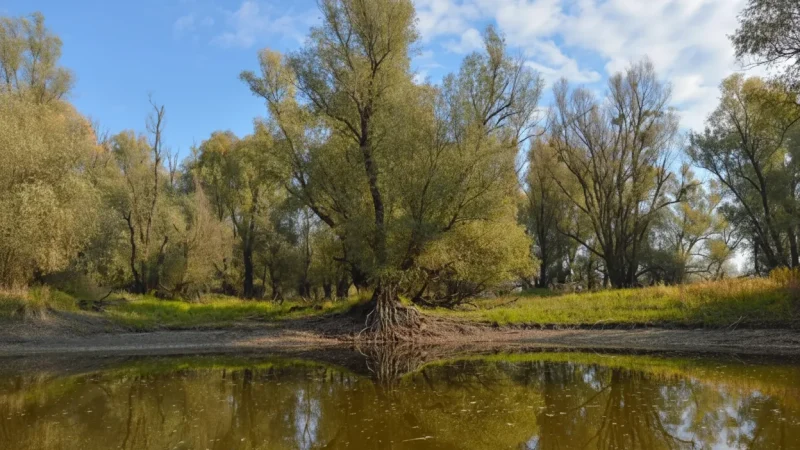 Kopački Rit Nature Park