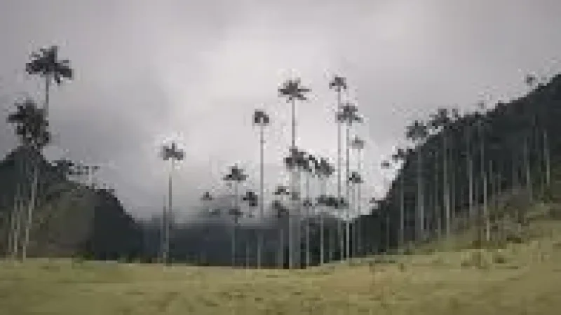 01 La Macarena Forest Trails – Dense rainforest paths(6)