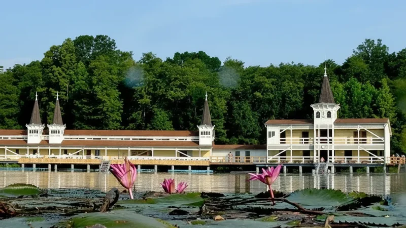 01) Lake Hévíz(3)