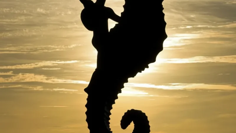 01) Malecón Boardwalk(4)