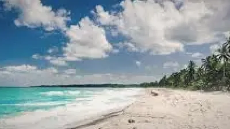 01 Palomino Beach – Wide sandy beach(6)