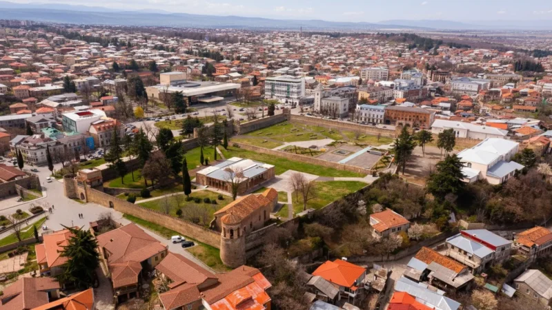 01) Tata Castle(4)