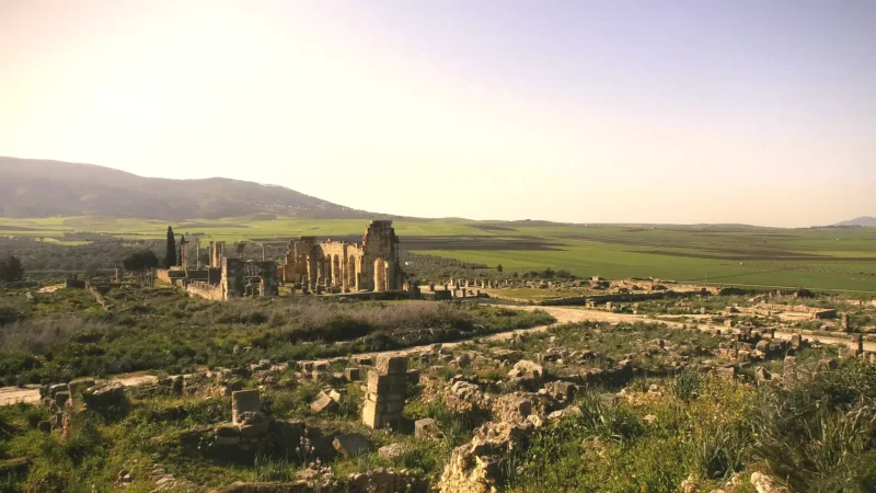01) Volubilis Roman Ruins(4)