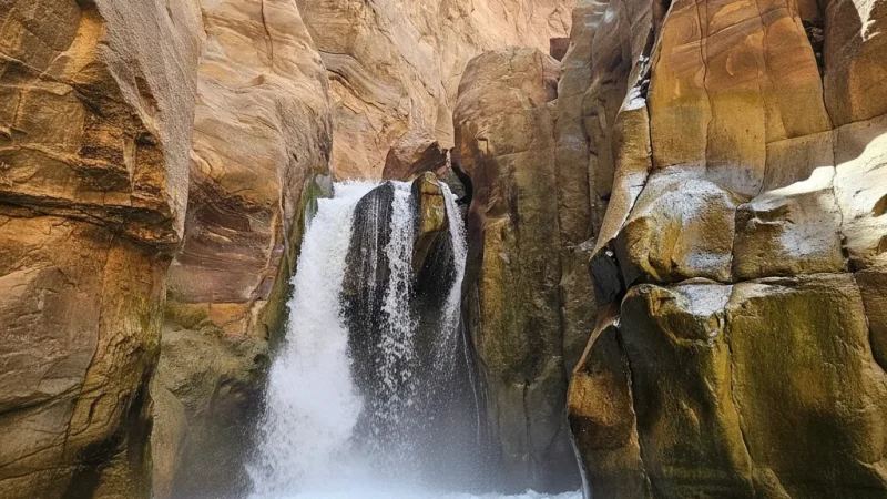 01) Wadi Mujib Reserve(6)