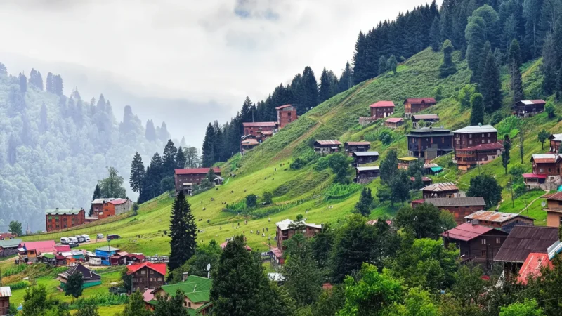 01. Ayder Plateau – Famous highland with hot springs_(1)