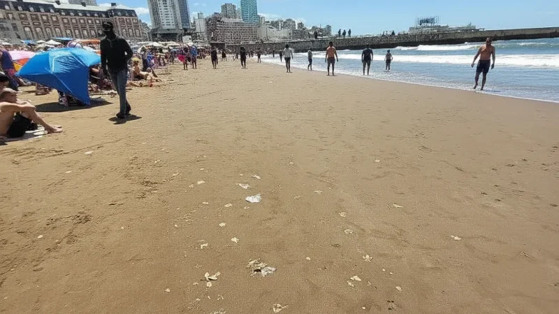 01. Bristol Beach – Central sandy beach(4)