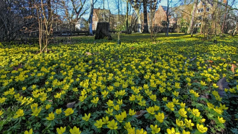 01. Gießen Botanical Garden(3)