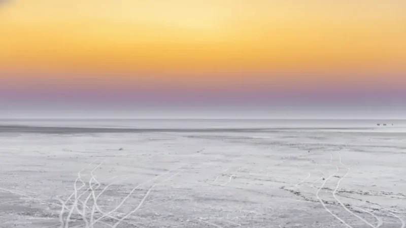 01. Great Rann of Kutch – A vast white salt desert_(4)