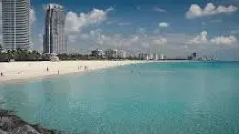01. South Beach(5)