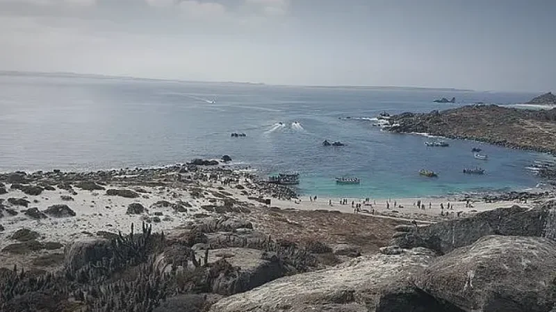 01_Humboldt_Penguin_National_Reserve(2)