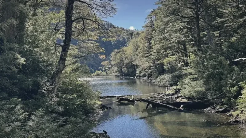 01_Los_Lagos_Trail(2)