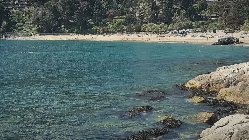 01_Zapallar_Beach(4)