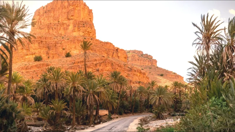 02) Ait Mansour Gorge(1)
