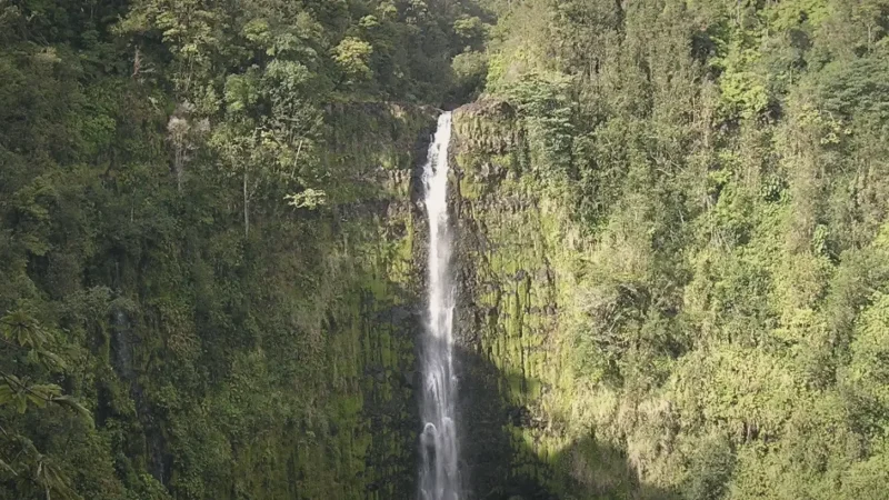 02) Akaka Falls State Park(4)