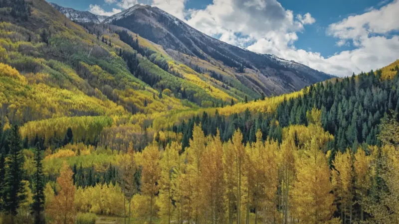 02) Aspen Mountain(4)