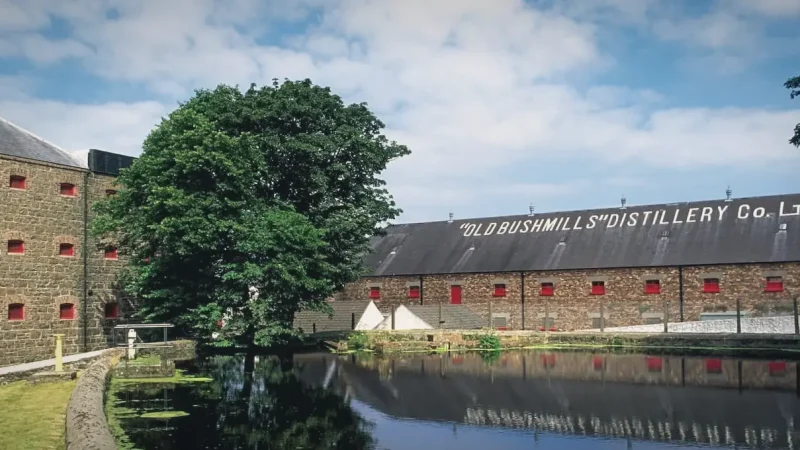 02) Bushmills Distillery(4)