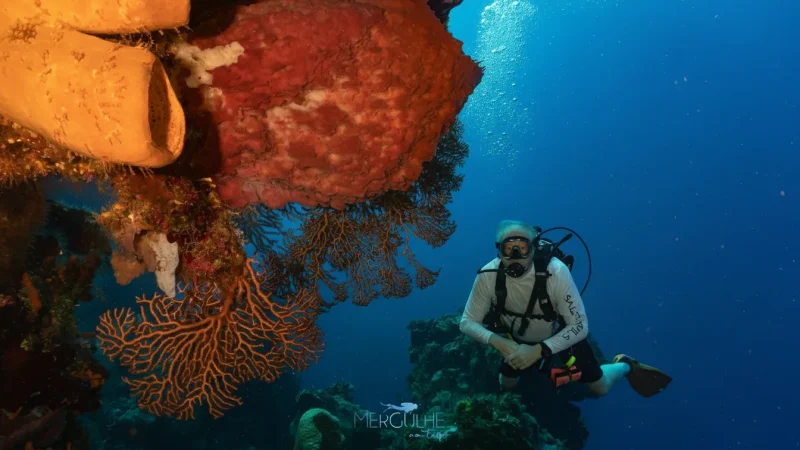 02) Columbia Reef(3)