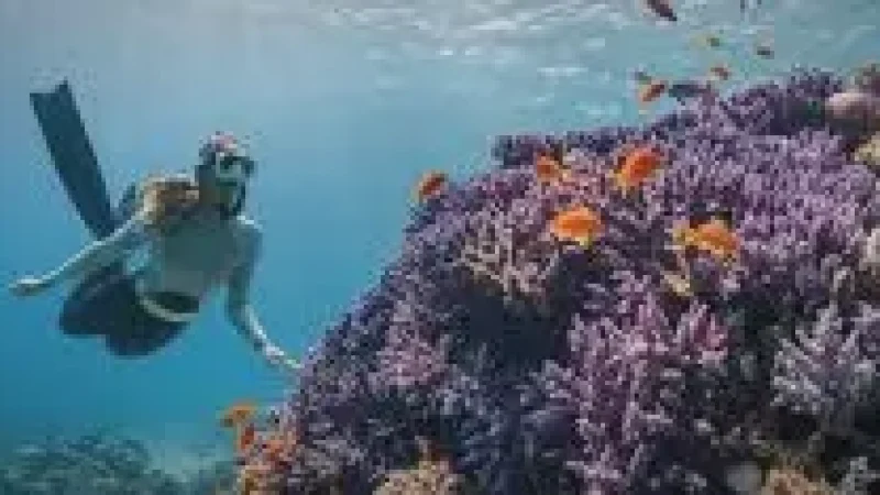 02 Coral Reef Areas(1)