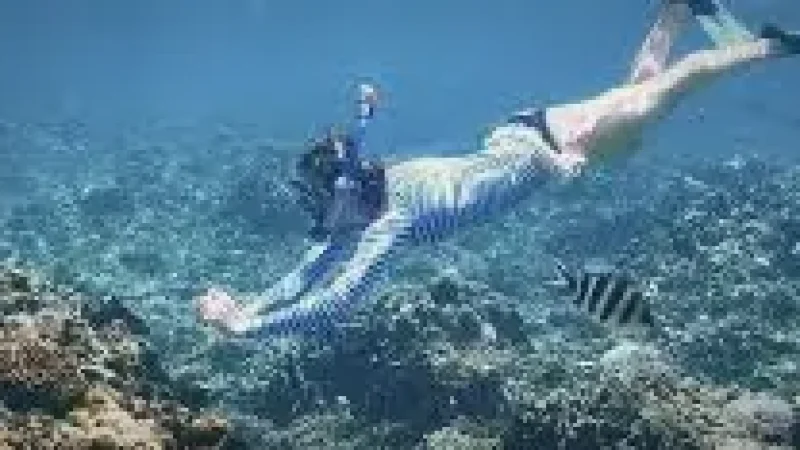 02 Coral Reefs – Snorkeling and marine life(6)