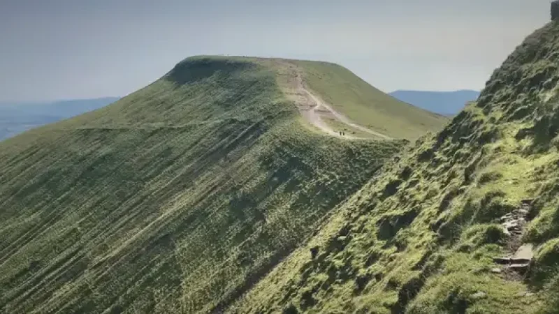 02) Corn Du(1)