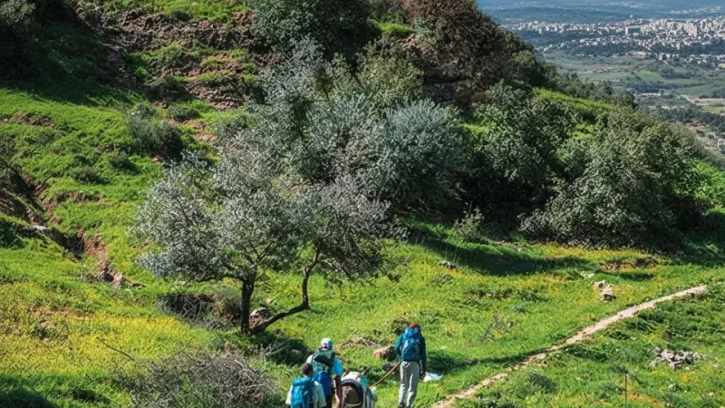 02) Hiking Trails(6)