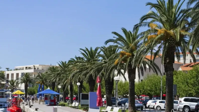 Makarska Promenade