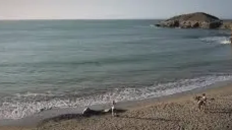 02 Ojo de Agua Beach – Calm swimming area(2)