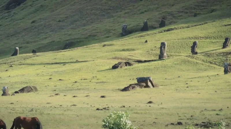 02) Rano Raraku(2)