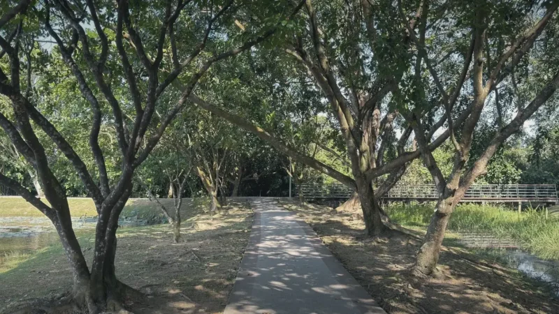 02) Shah Alam Lake Gardens(4)
