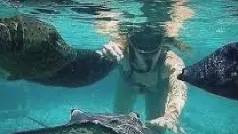 02 Shallow Swimming Zones(3)