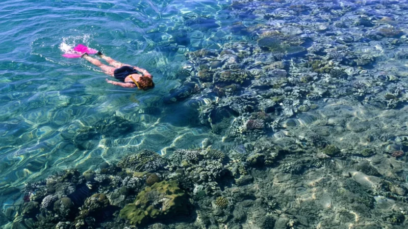 02) Snorkeling Beaches(6)