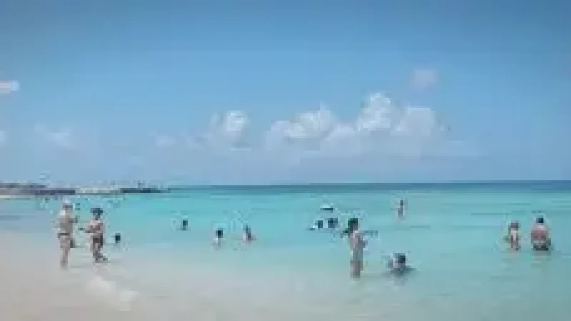 02 Spratt Bight Beach(6)