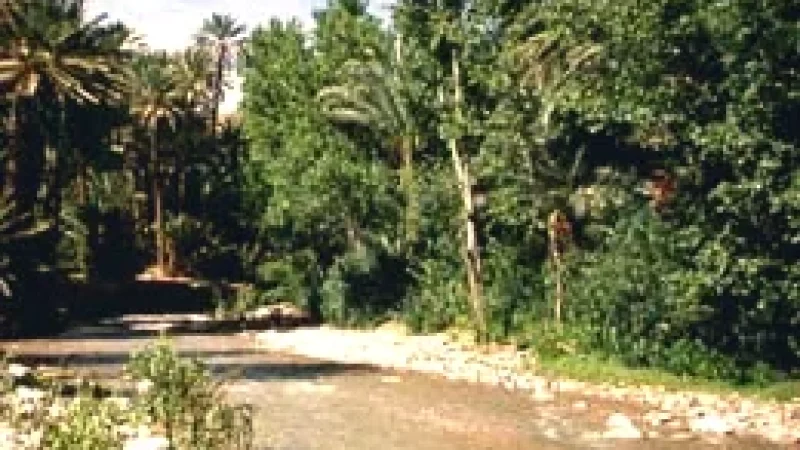 02) Todgha River(4)