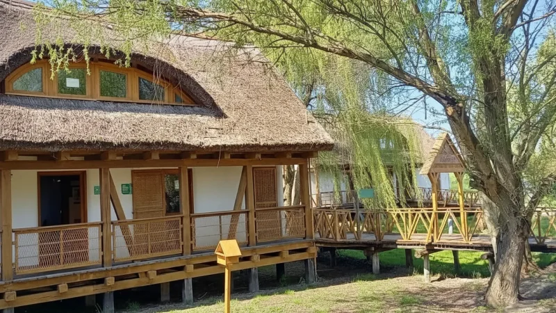 02) Wooden Boardwalks(1)