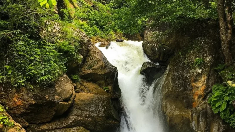 02. Altindere National Park – Forest paths and river views_(4)