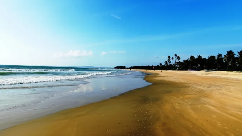 02. Benaulim Beach – A calm beach ideal for relaxation_(4)
