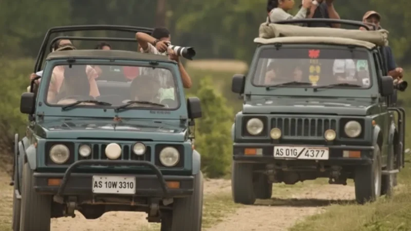 02. Central Range – Popular safari zone for rhino sightings_(4)