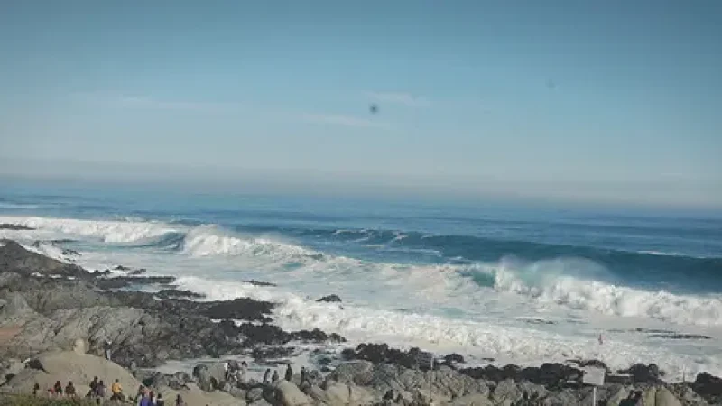 02_Isla_Negra_Beach(2)