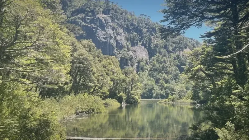 02_Laguna_Verde(3)