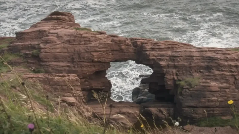 03) Arbroath Cliffs(4)