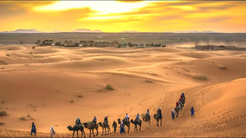 03) Camel Trek Routes(12)