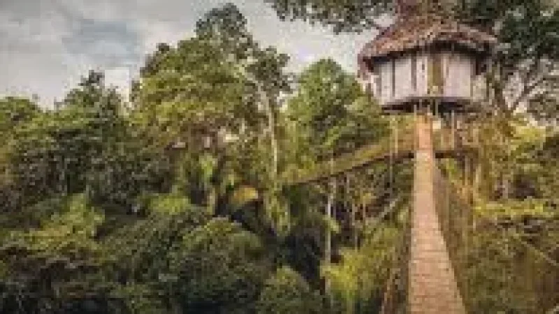 03 Canopy Walkways ‒ Elevated forest views(3)
