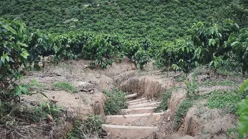 03 Cultural Coffee Routes – Local heritage trails_(5)